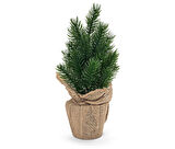 LED Çam Ağacı, Orta