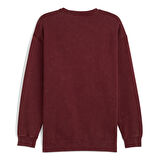 Ess Elevated Wash Crew Erkek Bordo Günlük Stil Sweatshirt 68805096
