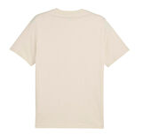 688033-87 Puma Graphıc Tee Erkek T-Shirt