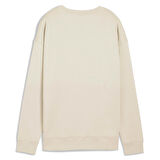 Puma Kadın Sweatshirt Essentials Small Logo Relaxed Crew