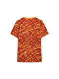 Galatasaray Puma Culture T-Shirt 78291706