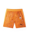 Galatasaray Puma 2025/2026 Kaleci Sarı Şort 78074582