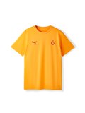Galatasaray Puma T-Shirt 78290706