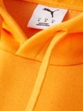 Galatasaray Puma Kapüşonlu Sweatshirt 78290806