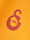 Galatasaray Puma Kapüşonlu Sweatshirt 78290806