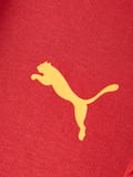 Galatasaray Puma Fermuarlı Kapüşonlu Sweatshirt 78291001