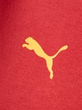 Galatasaray Puma Çocuk Kapüşonlu Sweatshirt 78291401
