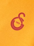 Galatasaray Puma Çocuk Kapüşonlu Sweatshirt 78291406