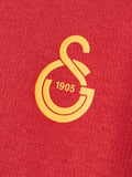 Galatasaray Puma Çocuk Fermuarlı Kapüşonlu Sweatshirt 78291501