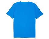 Puma TEAMFINAL26 TRAINING JERSEY Erkek Futbol Antrenman Tişörtü 65967502 Mavi