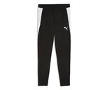 Puma Teamfinal26 Training Pants Erkek Futbol Kamp Eşofman Altı 65968803 Siyah