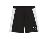Puma TEAMFINAL26 TRAINING SHORTS Erkek Futbol Antrenman Şortu 65968503 Siyah