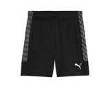Puma Teamliga26 Training Shorts Erkek Futbol Antrenman Şortu 65973003 Siyah