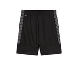 Puma Teamliga26 Training Shorts Erkek Futbol Antrenman Şortu 65973003 Siyah