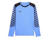 Puma TEAMLIGA26 GK JERSEY LS Erkek Futbol Kaleci Forması 70654731 Mavi