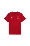 GSK FtblESS Tee GALATASARAY FtblESSENTIALS Erkek Tişört