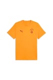 GSK FtblESS Tee GALATASARAY FtblESSENTIALS Erkek Tişört