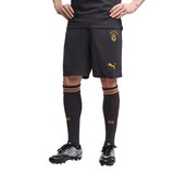 Galatasaray 2026/27 Erkek Gri Futbol Şort 78502305