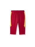 Galatasaray Puma Antrenman 3/4 Eşofman Alt 78681501