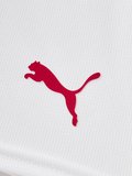 Galatasaray Puma 2026/2027 Çocuk Alternatif Şort 78502402