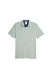 PUMA x Liberty Solid Golf Polo Erkek Tshirt