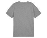Puma Teamgoal Casuals Tee Erkek Futbol Tişörtü 65861533 Gri