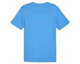 Puma Teamfinal Training Jersey Erkek Futbol Antrenman Tişörtü 65855702 Mavi