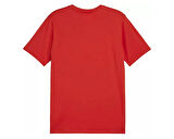 Puma Teamgoal Casuals Tee Erkek Futbol Tişörtü 65861501 Kırmızı