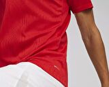 Puma Teamfinal Training Jersey Erkek Futbol Antrenman Tişörtü 65855701 Kırmızı