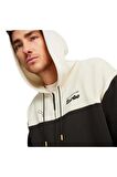 Puma 62455201 Pl Hooded Erkek Sweatshirt