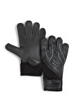 Kaleci Eldiveni Puma 041862-10 