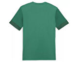 Puma Teamgoal Matchday Jersey Erkek Futbol Antrenman Tişörtü 70574705 Renkli