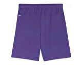 Puma Teamgoal Shorts Erkek Futbol Antrenman Şortu 70575210 Mor