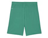 Puma Teamgoal Shorts Erkek Futbol Antrenman Şortu 70575205 Yeşil
