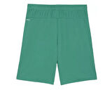 Puma Teamgoal Shorts Erkek Futbol Antrenman Şortu 70575205 Yeşil