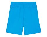Puma Teamgoal Shorts Erkek Futbol Antrenman Şortu 70575202 Mavi