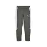 Evostripe Pants Dk Erkek Eşofman Altı