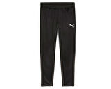 Puma Teamgoal Training Pant Erkek Futbol Antrenman Eşofman Altı 65863903 Siyah