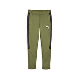 Puma Erkek Eşofman Alt Evostripe