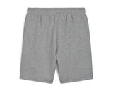 Puma Teamfinal Casuals Shorts Erkek Futbol Şortu 65853833 Gri
