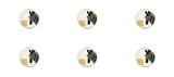 Porland Wild Life Zebra Bardak Altlığı 10cm 6'lı 04ALM006624