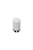 Porland Palms Tuzluk 6cm 4 LÜ 04ALM005897