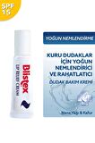 Çatlak Dudaklar için Dudak Kremi Spf10 041388210216