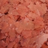Dajana Tropical Artemia Flakes 100 Gr
