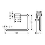 Hansgrohe AddStoris Halka Havluluk Krom