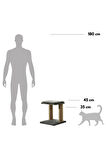 Pet Dreams Forcats Lüks Kedi Tırmalama, Minderli, Yıkanabilir Dinlenme Alanı