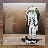 Randy Vanwarmer – Terraform 33'lük LP PLAK