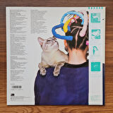 Regina – Curiosity