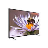 Next NextYE-42020G6 42" 106 Ekran Full HD Led Ekran