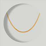 Çelik Kadın Kolye, İtalyan Zincir Model, Gold Renk, No:173